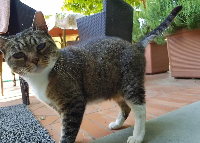 Al Melograno - & Breakfast 게스트하우스