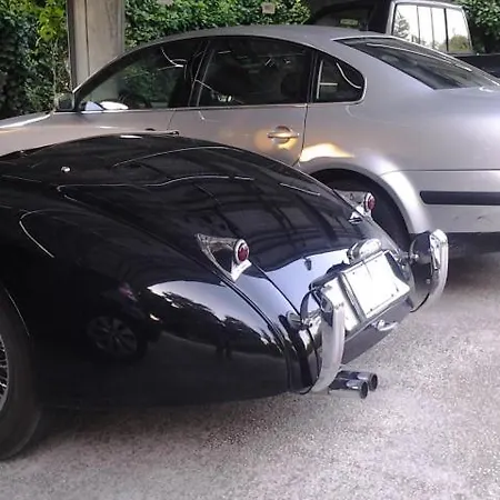 阿尔梅洛格兰诺 -