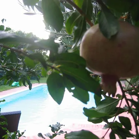 Pensjonat Al Melograno - & Breakfast 4*