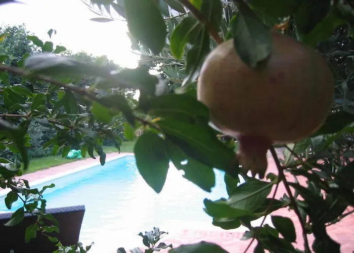 Vendégház Al Melograno - & Breakfast 4*